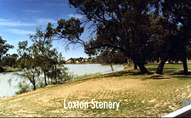 loxton2.jpg (32503 bytes)